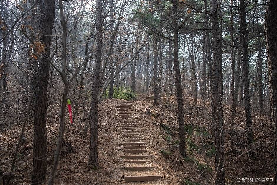 평택_마안산 (8)