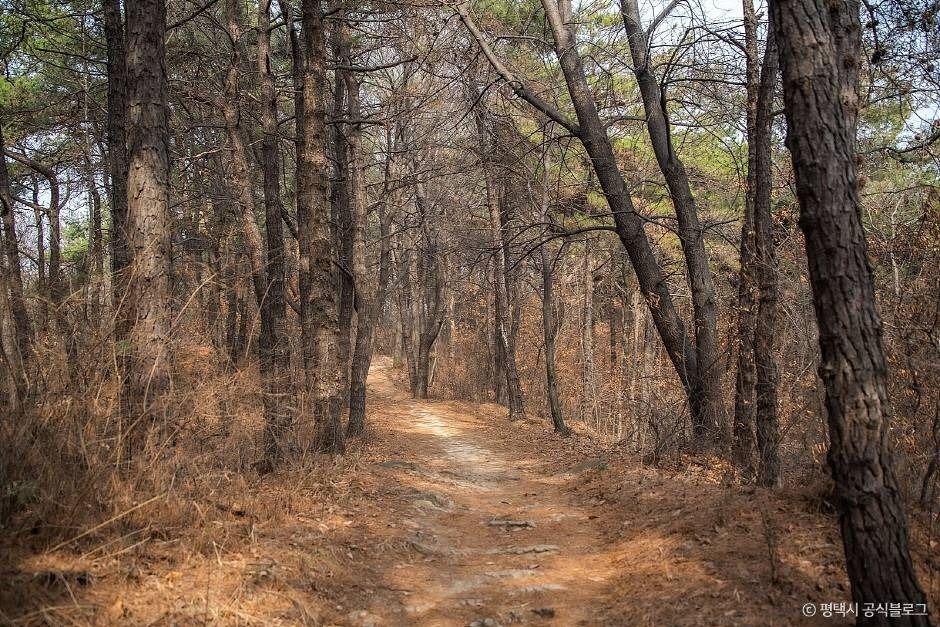 평택_마안산 (10)