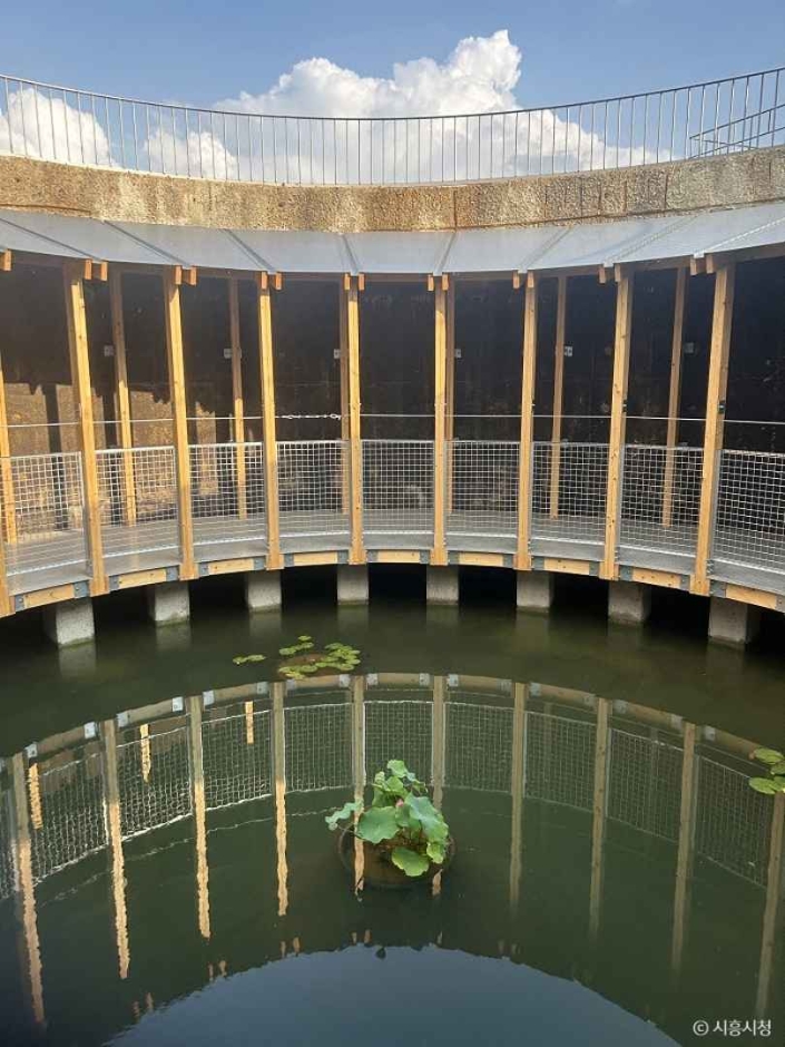 맑은물상상누리 (10)