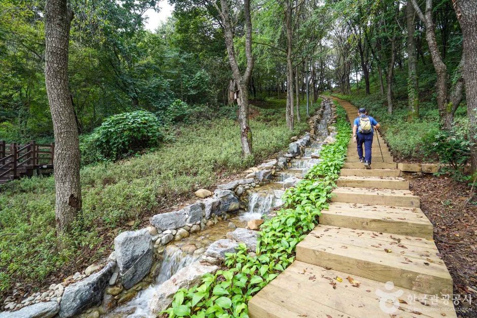 경기_연천_망곡산 연인공원 (5)