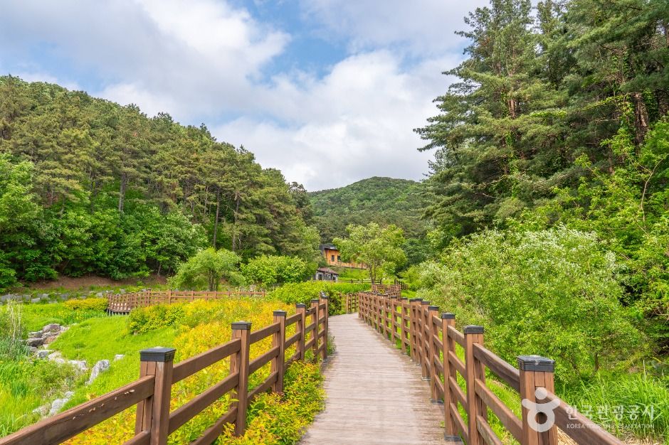 군포_매쟁이골 (1)