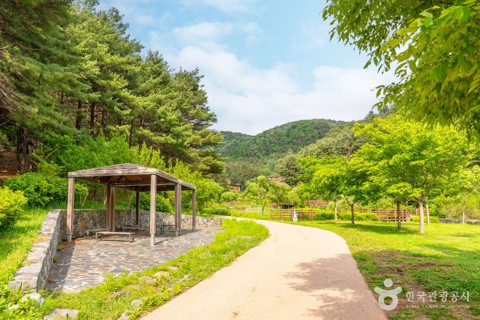 군포_매쟁이골 (3)