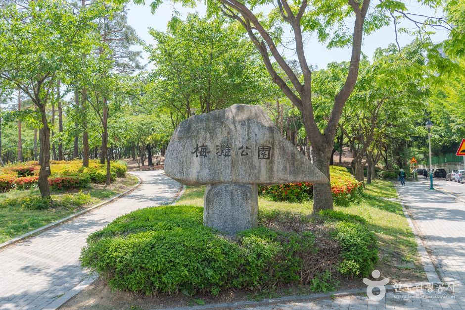 매탄공원