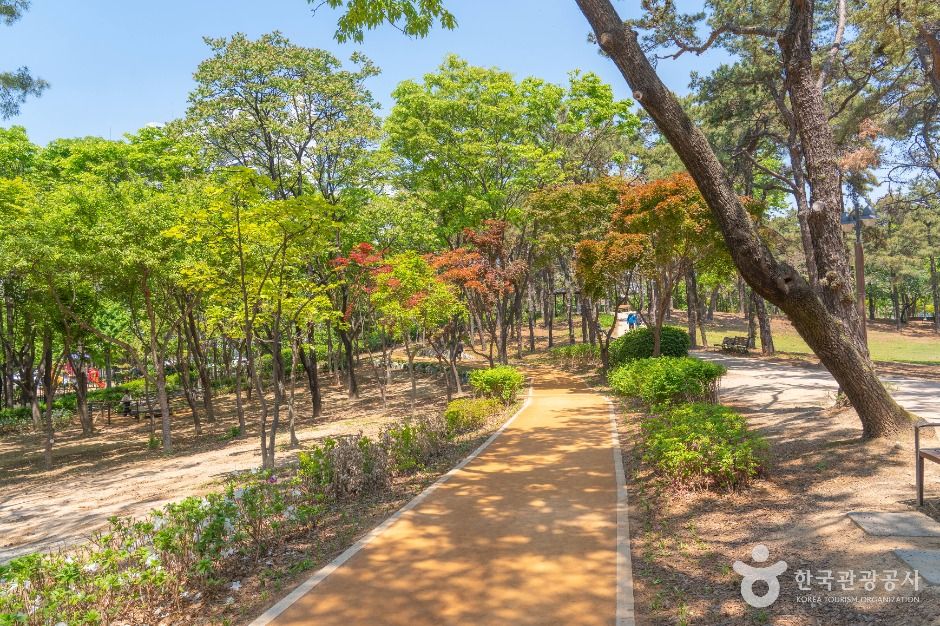 수원_매탄공원 (5)