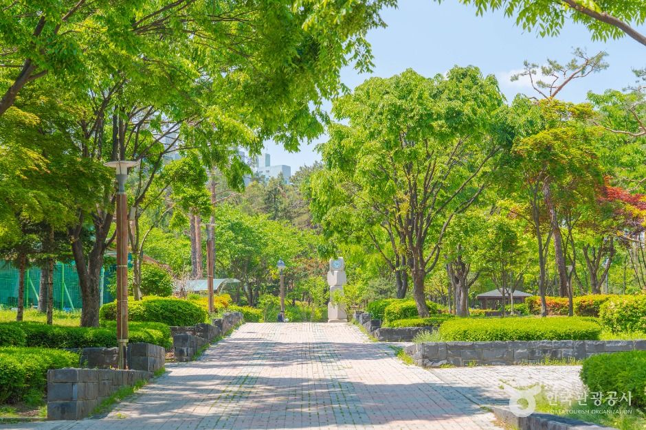 수원_매탄공원 (6)