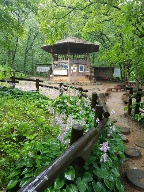 성남_맹산반딧불이자연학교 (5)