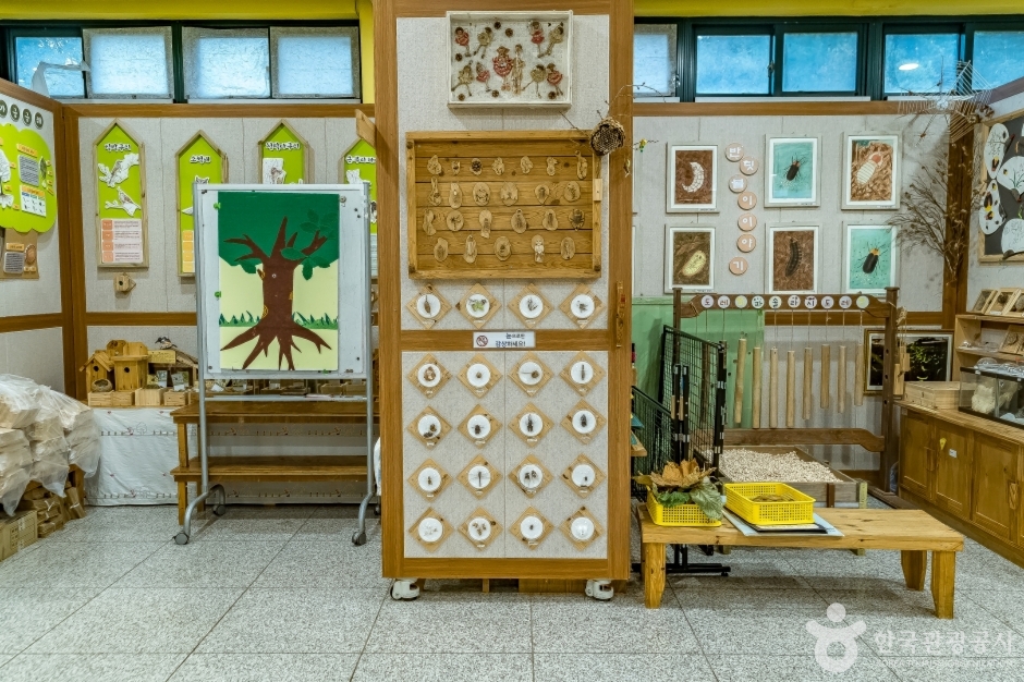 맹산환경생태학습원 (11)