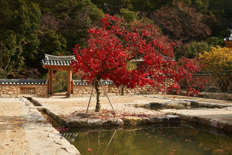 양평_메덩골정원 (6)