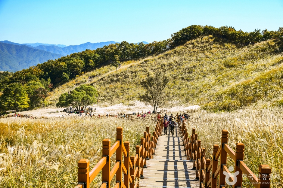 명성산억새밭 (1)