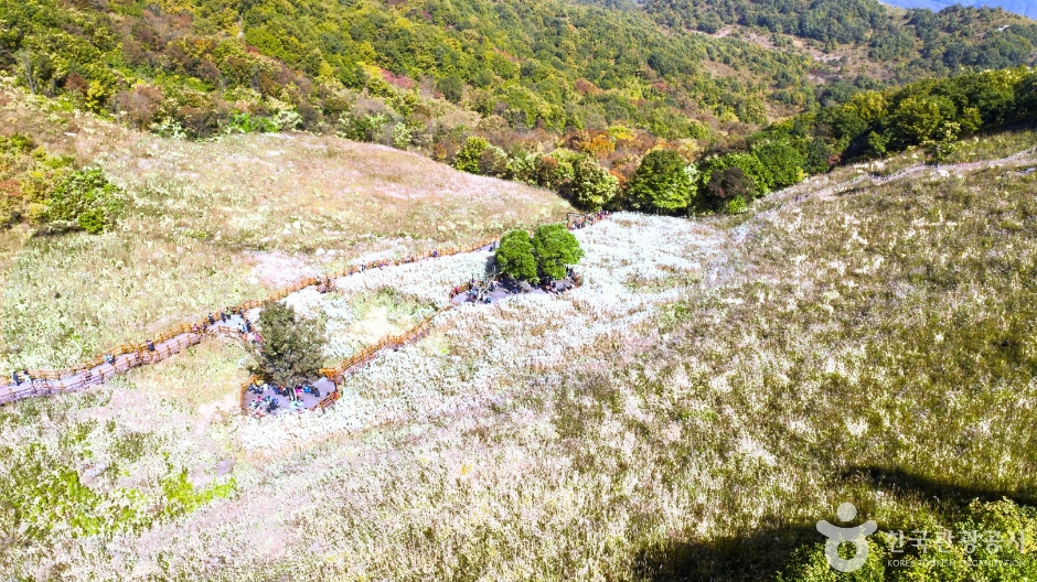 명성산억새밭 (3)