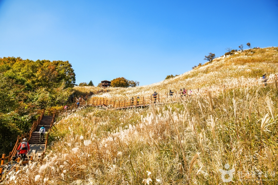 명성산억새밭 (7)