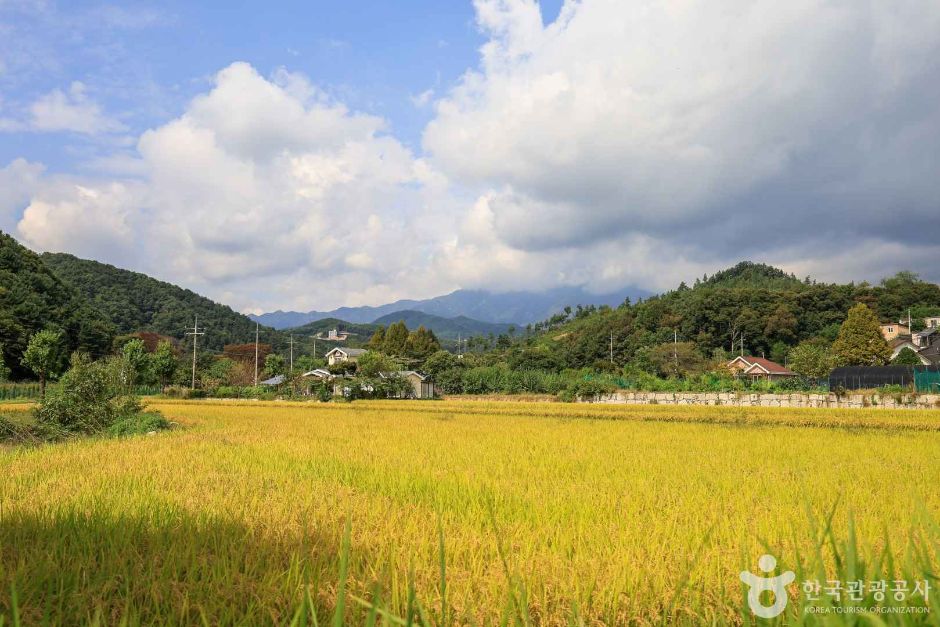 경기_양평_모꼬지마을 (2)