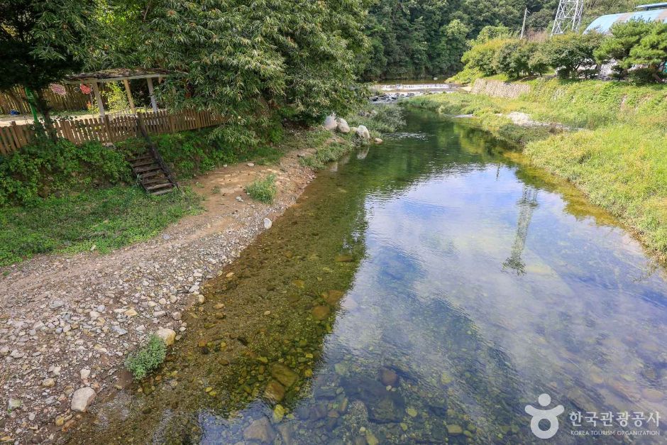 경기_양평_모꼬지마을 (6)