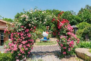 풀향기 허브나라&토이박물관