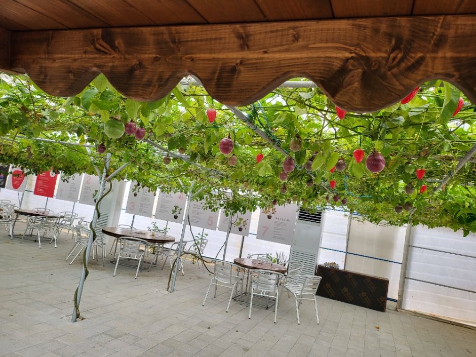 모아베리교육농장 (2)