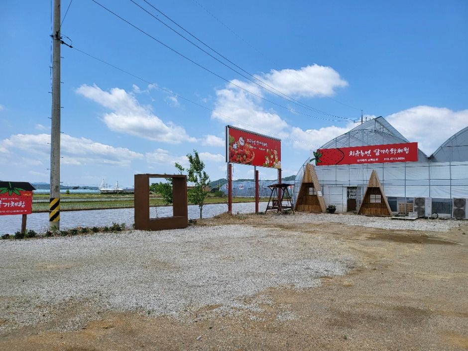 모아베리교육농장 (5)