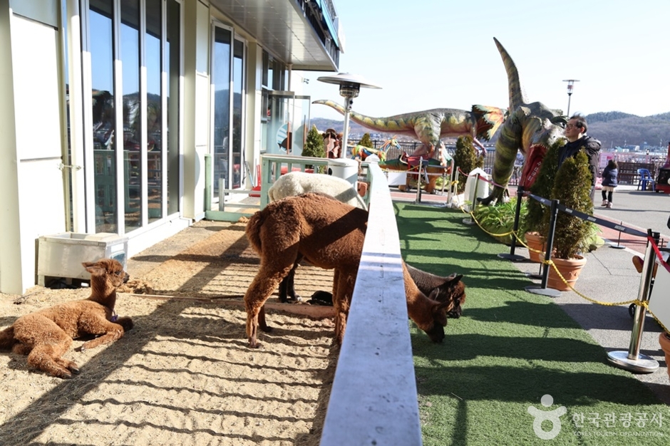 N00372_경기_김포_몬스터리움 (12)