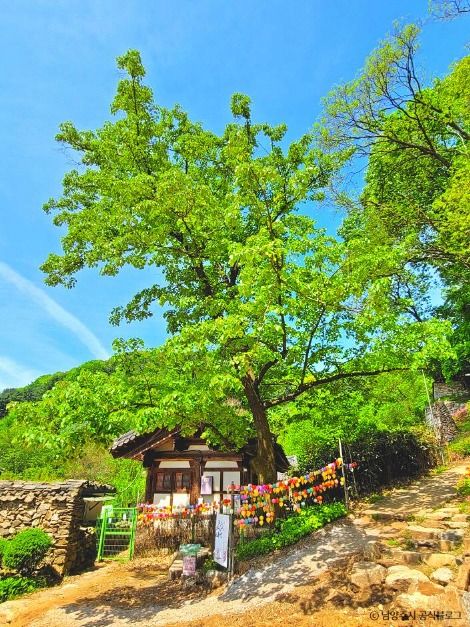 남양주_묘적사 (7)