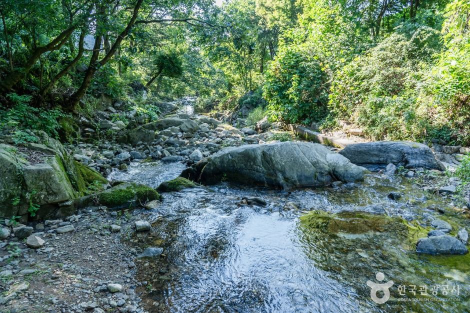 경기광주_무갑리계곡 (1)