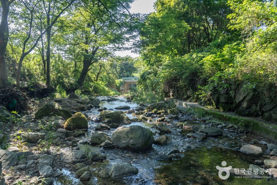 경기광주_무갑리계곡 (2)
