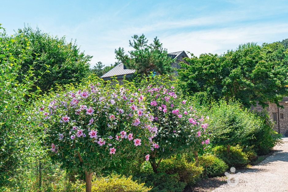 수원_무궁화동산 (1)