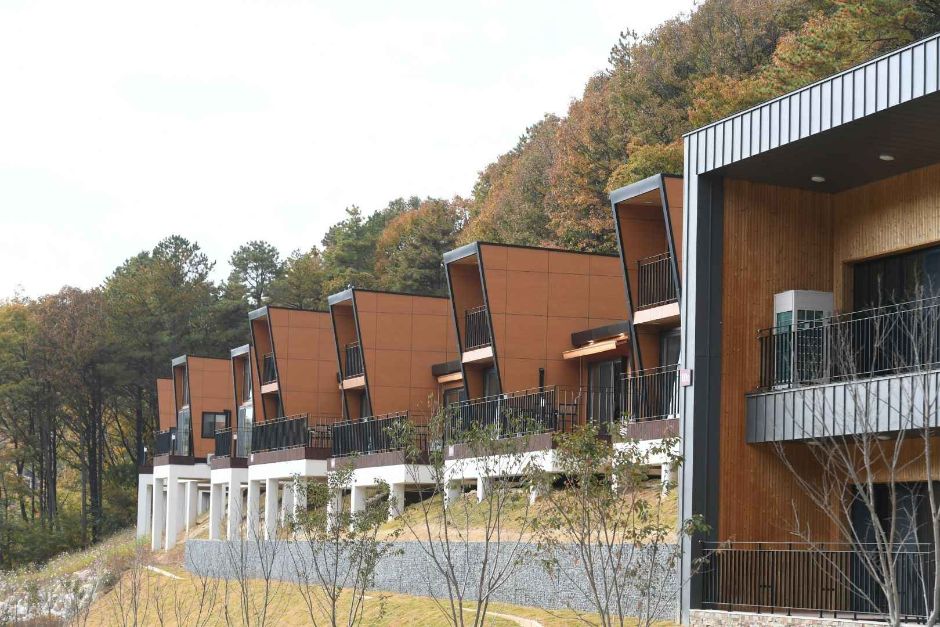 무봉산 자연휴양림_8