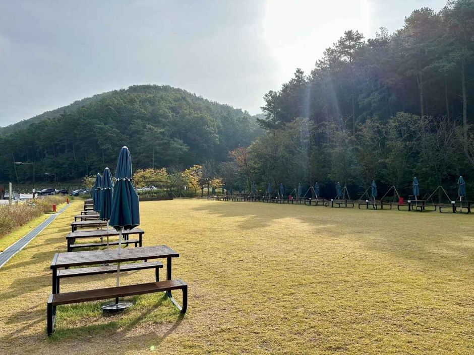 무봉산 자연휴양림_12