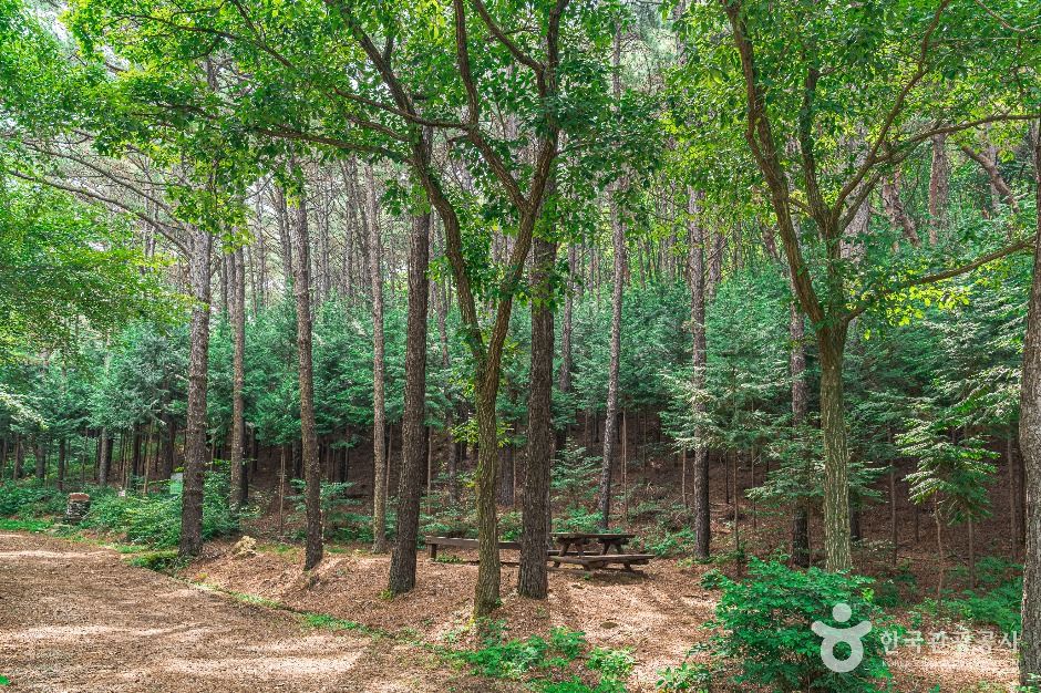 김포_문수산산림욕장 (4)