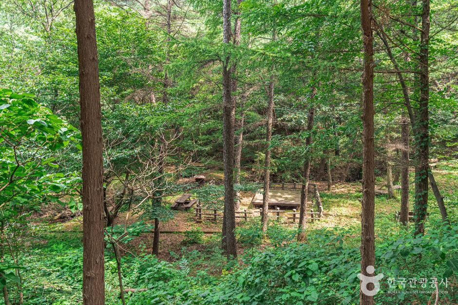 김포_문수산산림욕장 (2)