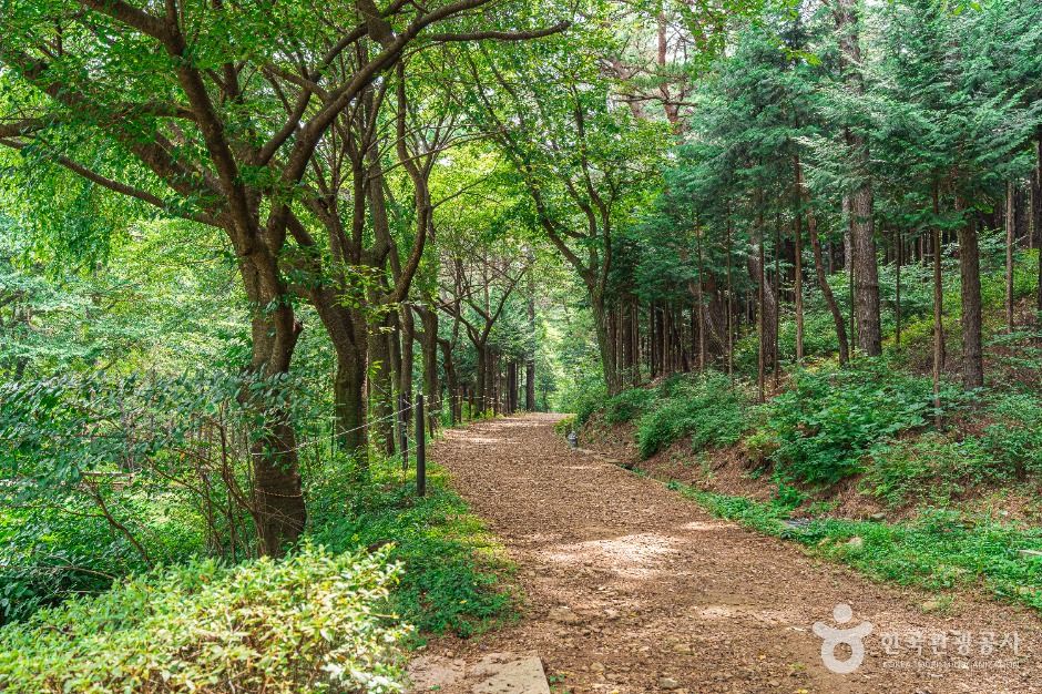 김포_문수산산림욕장 (3)