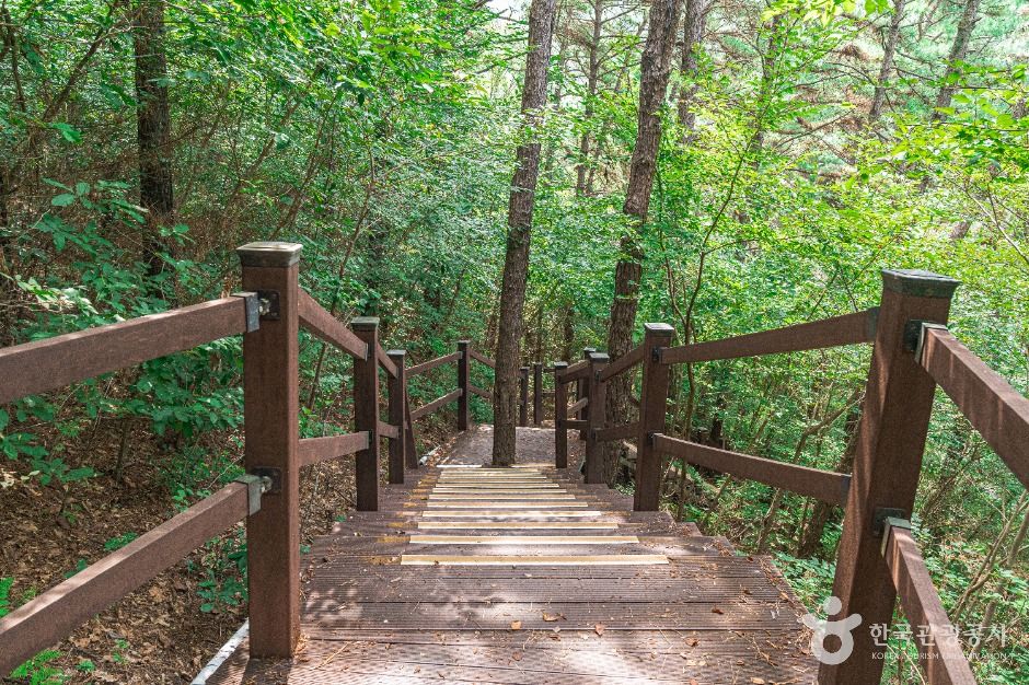 김포_문수산산림욕장 (5)