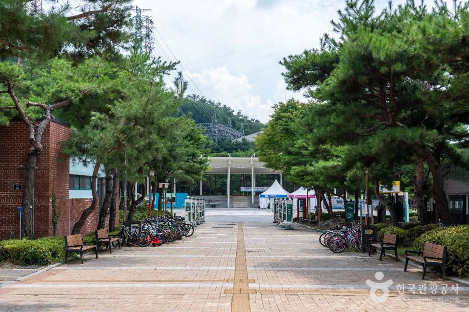 과천_문원체육공원 (3)