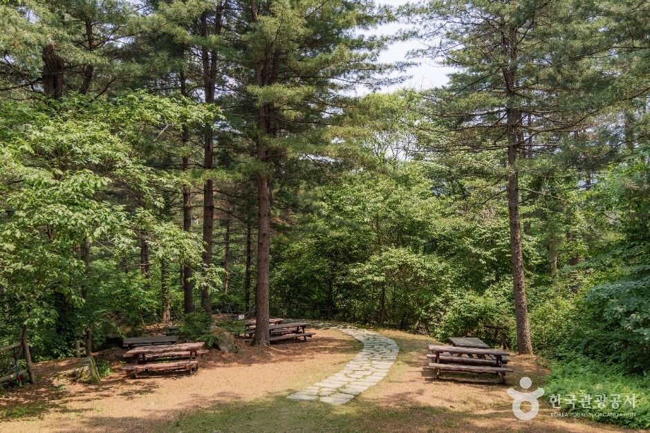 남양주_물맑음수목원 (5)