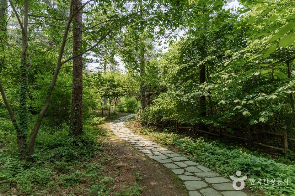 남양주_물맑음수목원 (6)