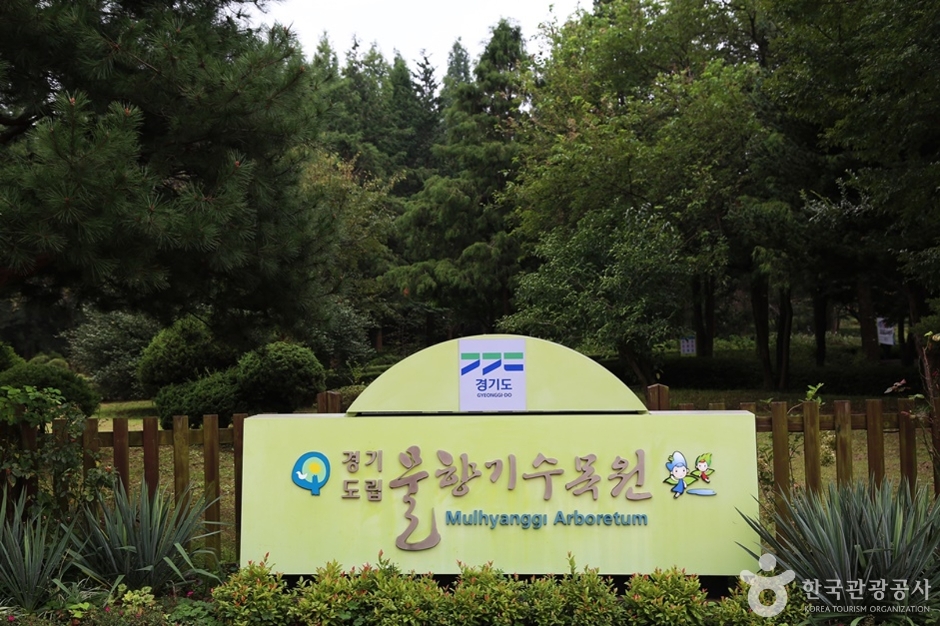 물향기수목원 (2)