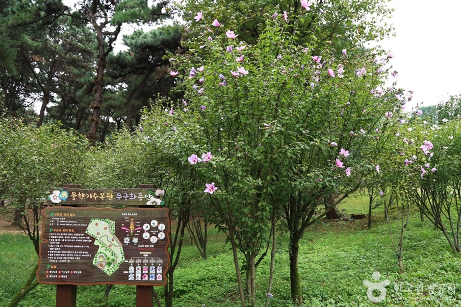 물향기수목원 (15)