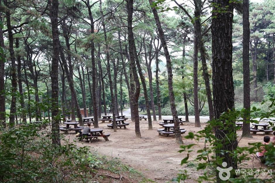 물향기수목원 (17)