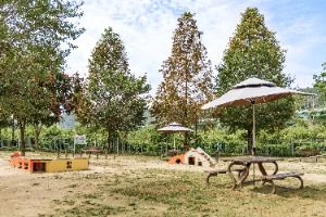 기흥레스피아호수공원 반려동물놀이터