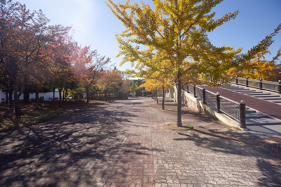 경기도_고양시_밤가시공원_산책로