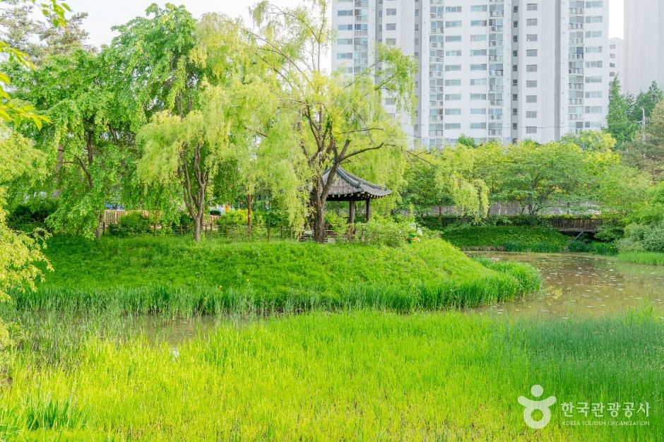 수원_밤밭청개구리공원 (2)