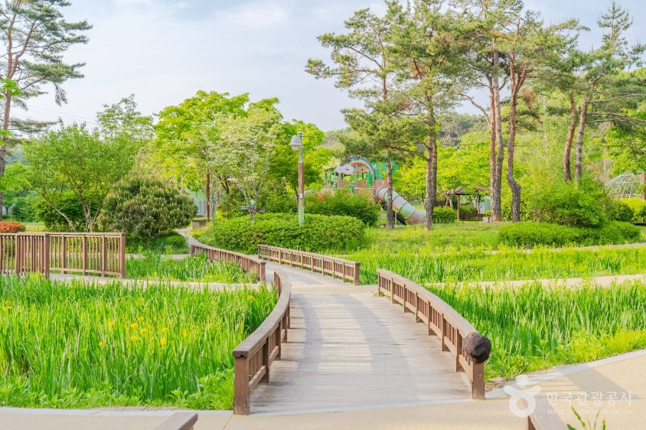 수원_밤밭청개구리공원 (3)