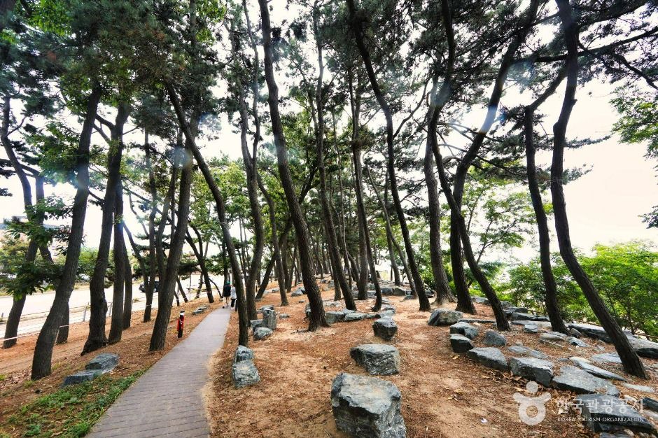 안산_방아머리해변 (4)
