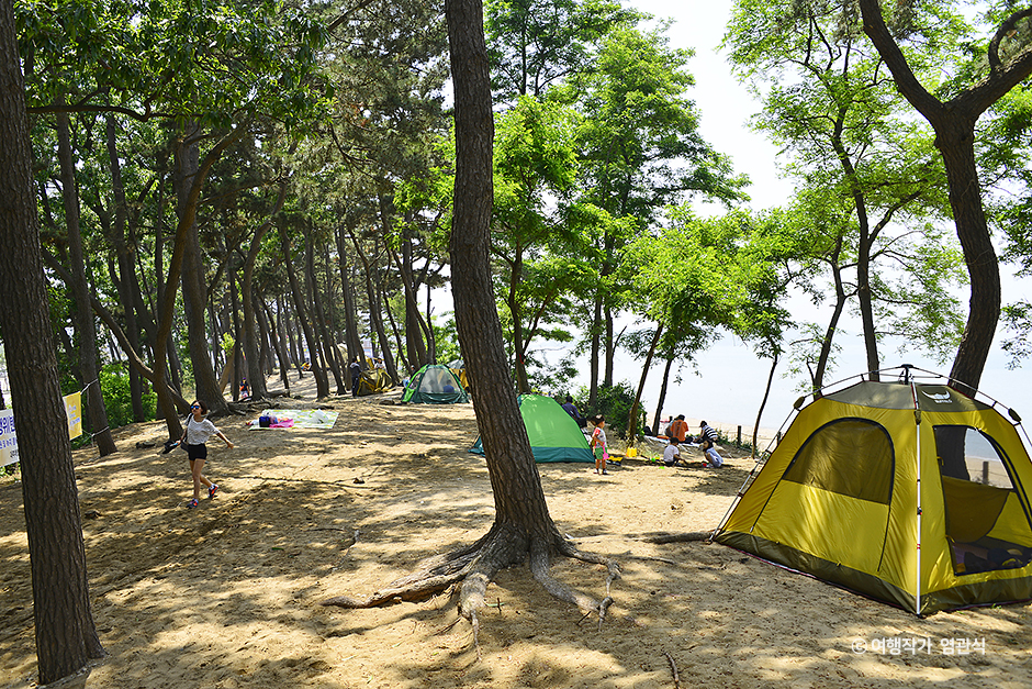 경기_안산_방아머리해수욕장_염관식 03