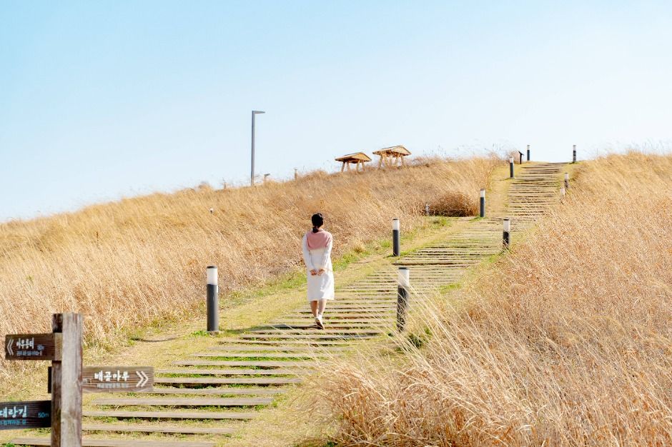 시흥_배곧생명공원 (2)