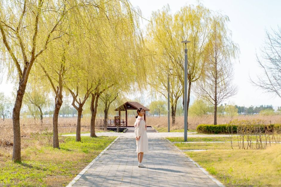 시흥_배곧생명공원 (1)