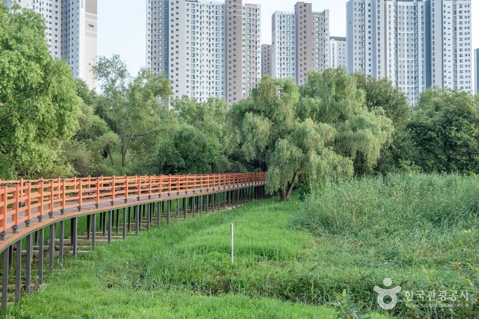 평택_배다리생태공원 (5)