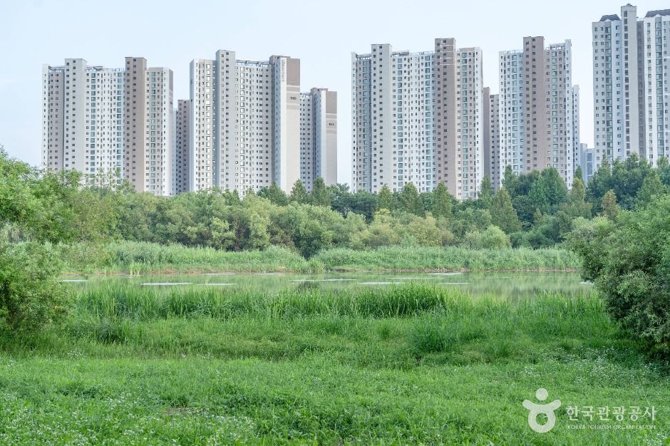 평택_배다리생태공원 (7)