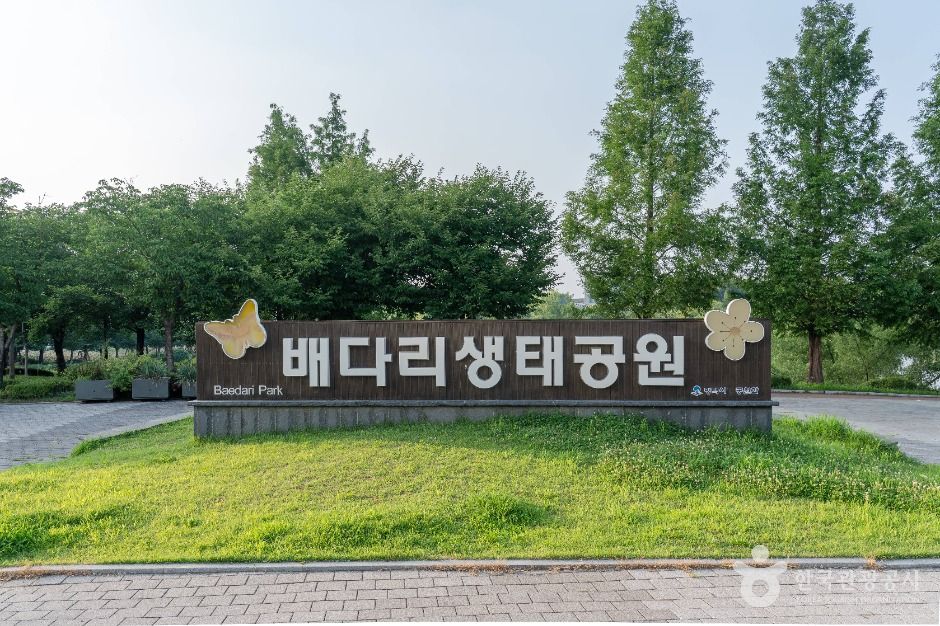 평택_배다리생태공원 (1)
