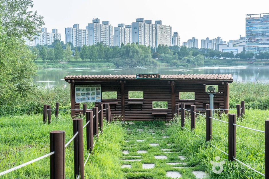 평택_배다리생태공원 (4)