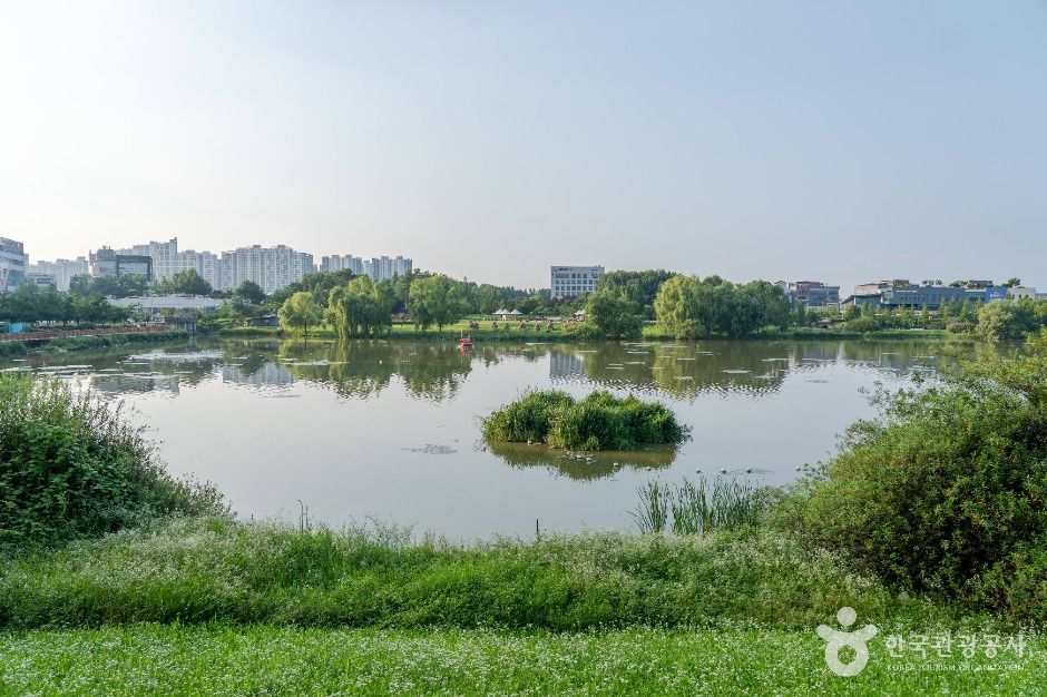 평택_배다리지 (4)